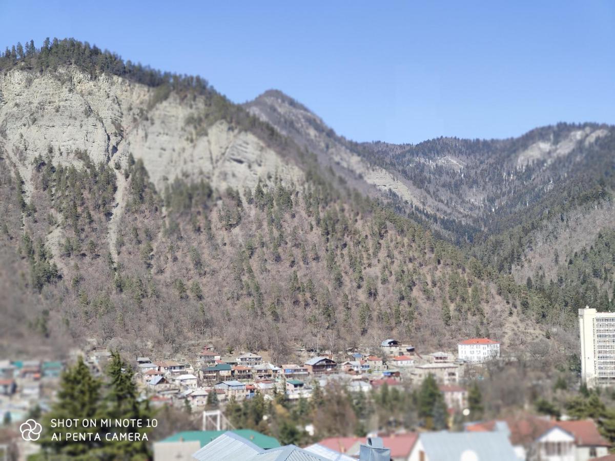 Borjomi Sichi Hotel Luaran gambar